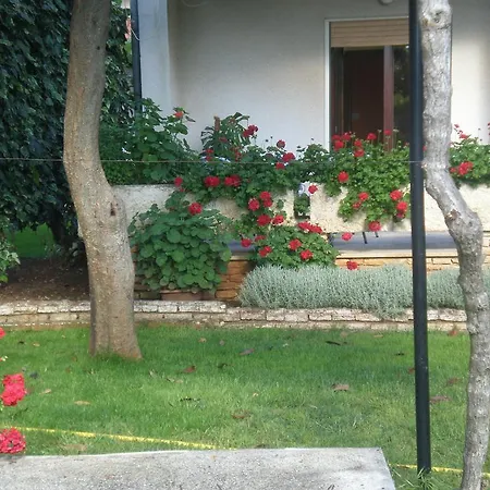 Ms Apartment Pula