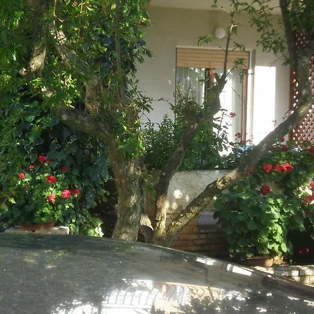 Apartman Ms *